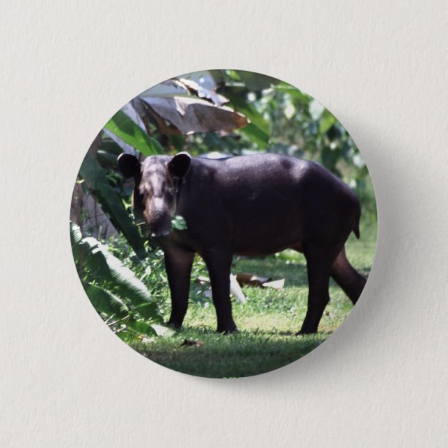 save the Tapir Pinback Button (Front)