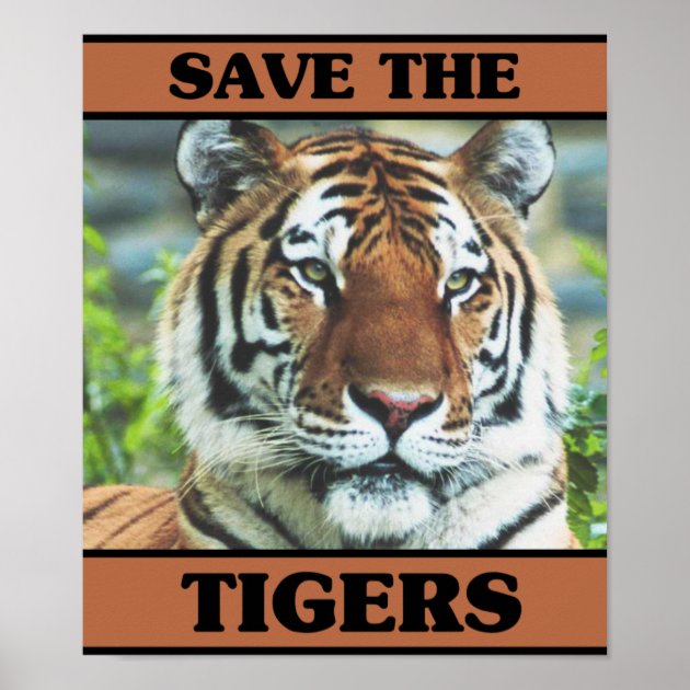 Save The Tigers Poster | Zazzle