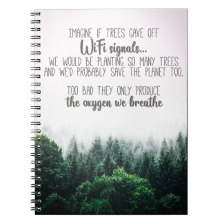 Save the trees oxygen with foggy forest picture