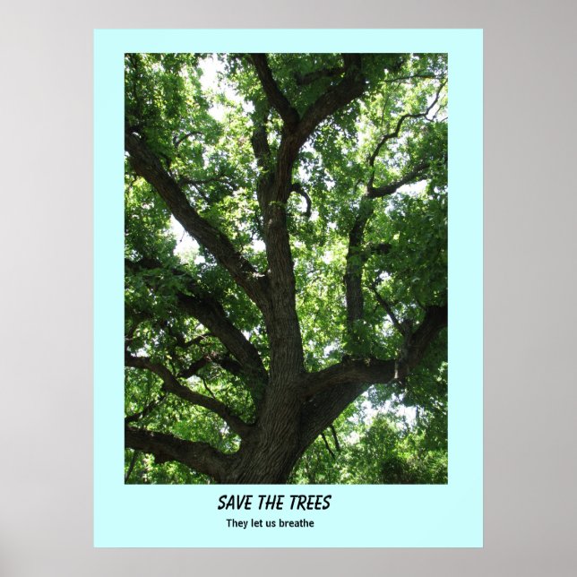 Save the Trees Poster (Front)