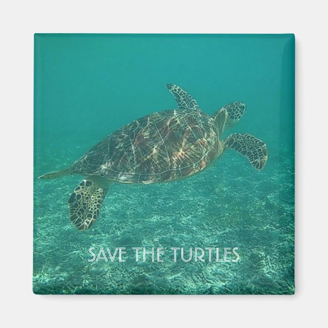 save the turtles magnet (Front)