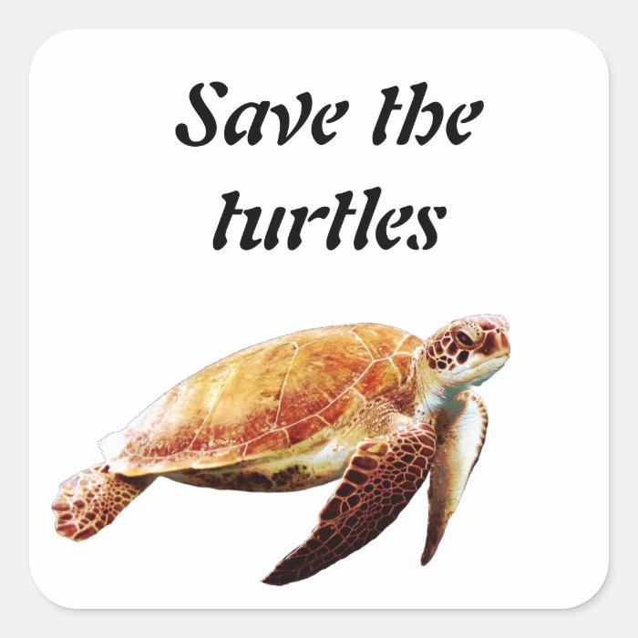 Save the turtles square sticker Zazzle