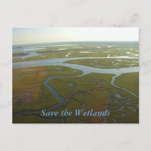 Save the Wetlands Postcard