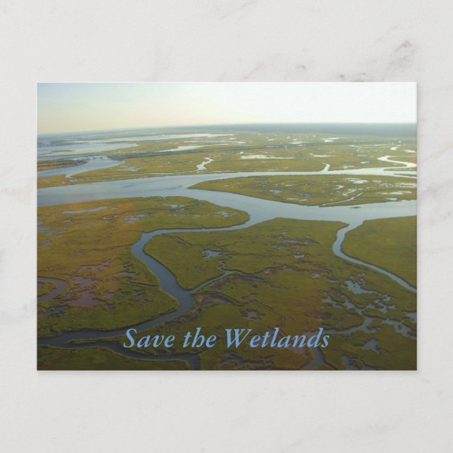 Save the Wetlands Postcard (Front)