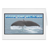 Save the Whales (Front Horizontal)