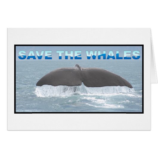 Save the Whales Cards (Front Horizontal)