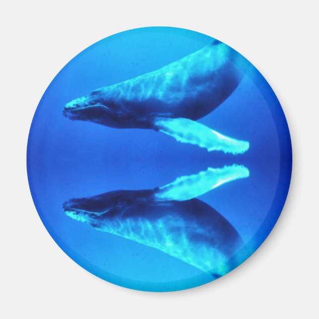 Save the Whales Magnet (Front)