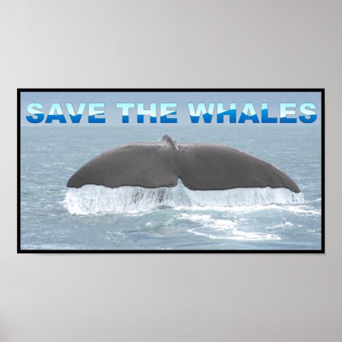 Save the Whales Poster