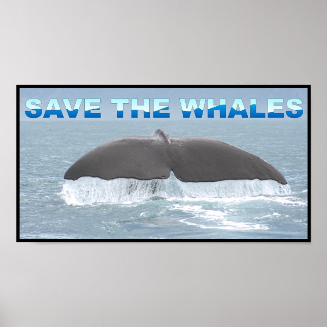Save the Whales Poster (Front)
