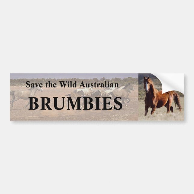 Save The Wild Australian Brumbies Bumper Sticker (Front)
