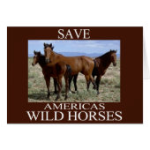 Save the Wild Horses (Front Horizontal)