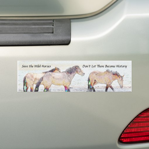 Save the Wild Horses Bumper Sticker Zazzle