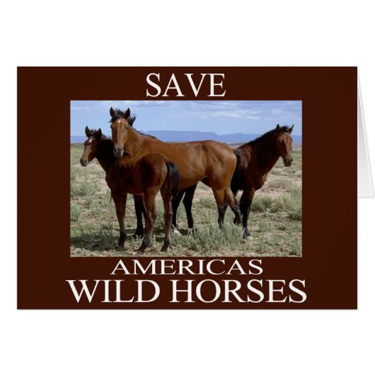 Save the Wild Horses Cards (Front Horizontal)