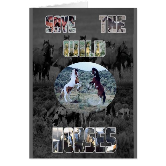 Save The Wild Horses Cards (Front)