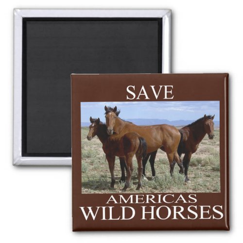 Save the Wild Horses Magnet