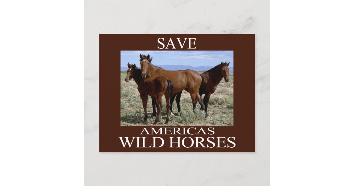 Save the Wild Horses Postcard | Zazzle