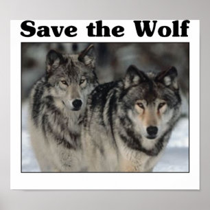 Save the Wolf Poster