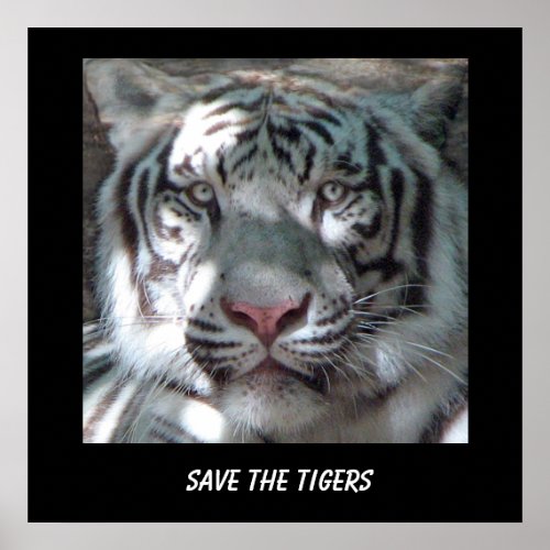 Save Tiger Poster