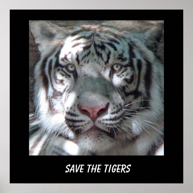 Save Tiger Poster (Front)
