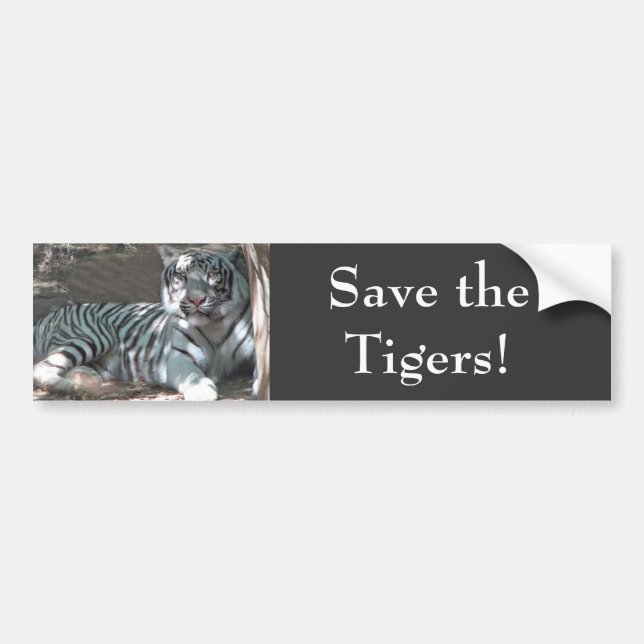 Save Tigers Bumper Sticker (Front)