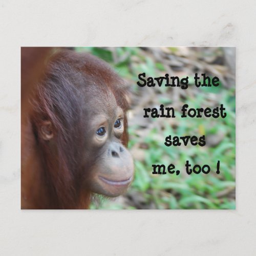 Save Wildlife and Rainforest postcard