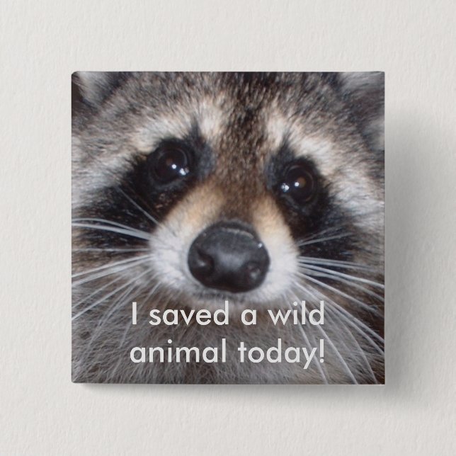 Saved a wild animal - raccoon button (Front)
