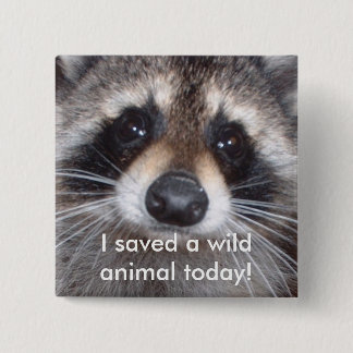 Saved a wild animal - raccoon button