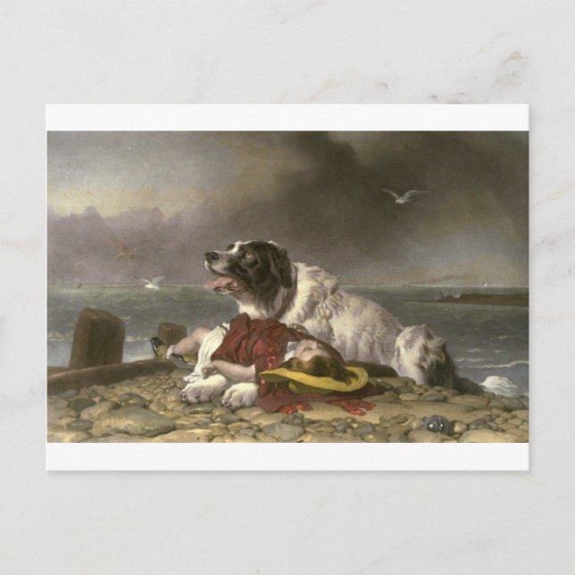 Saved by Edwin Henry Landseer Postcard (Front)