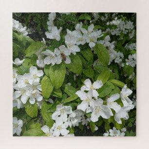 Savoring the Sweet Smell of Cherry Blossoms Jigsaw Puzzle