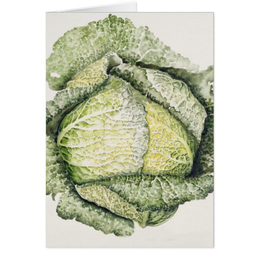 Savoy Cabbage Cards (Front)