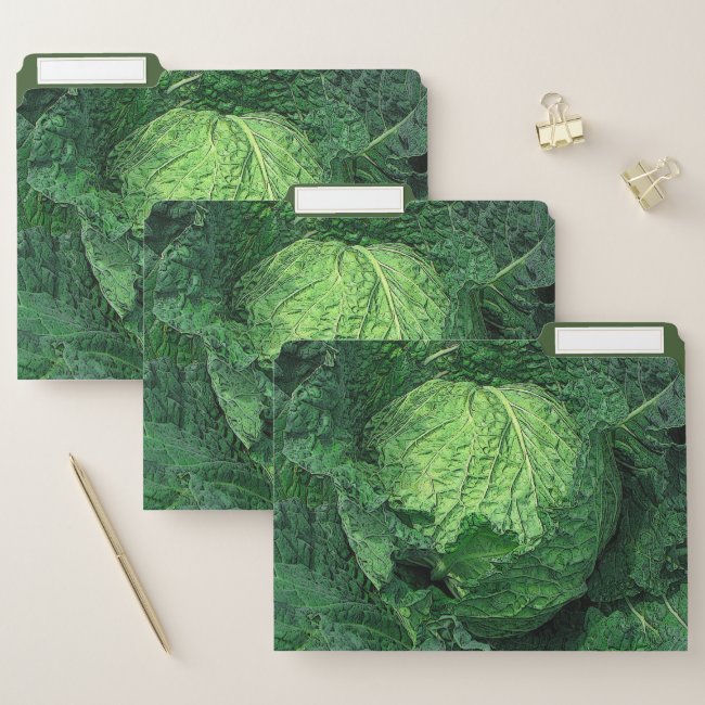 Savoy Cabbage Green File Folder Set