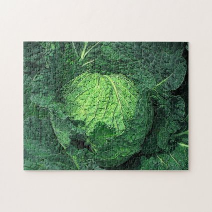 Savoy Cabbage Jigsaw Puzzle