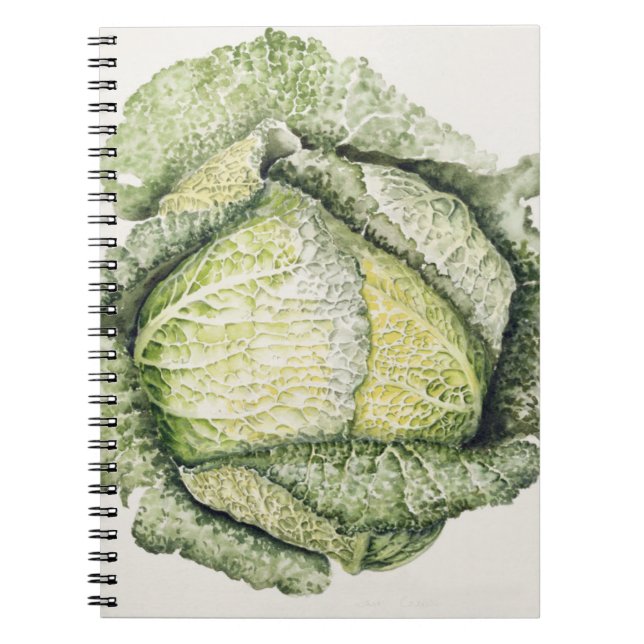 Savoy Cabbage Notebook (Front)