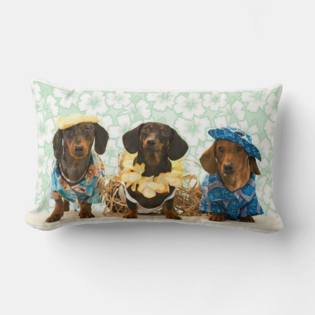 Savvy Dachshunds Lumbar Pillow (Front)