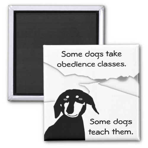 Savvy Sausage Wisdom _ Obedience Classes Magnet