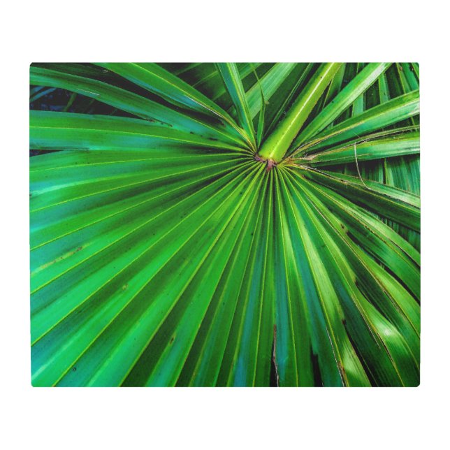 Saw Palmetto Fan Metal Wall Art (Front)