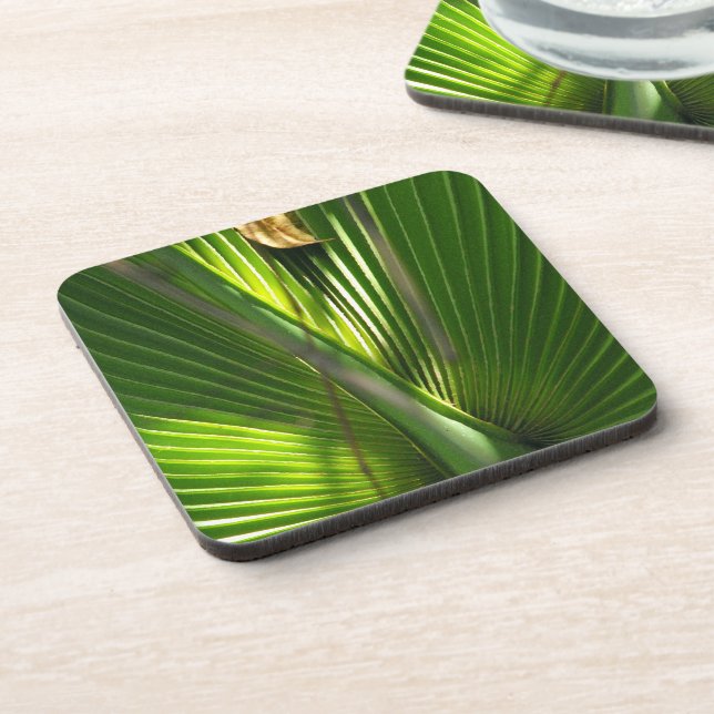 Saw Palmetto Photo Closeup Coaster (Left Side)
