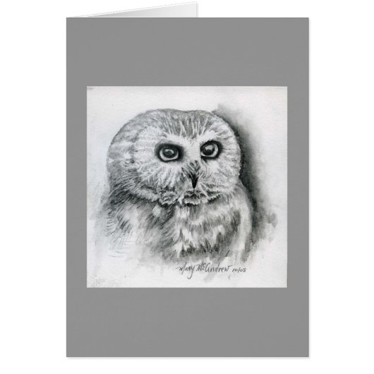 "Saw Whet Owl" Cards (Front)