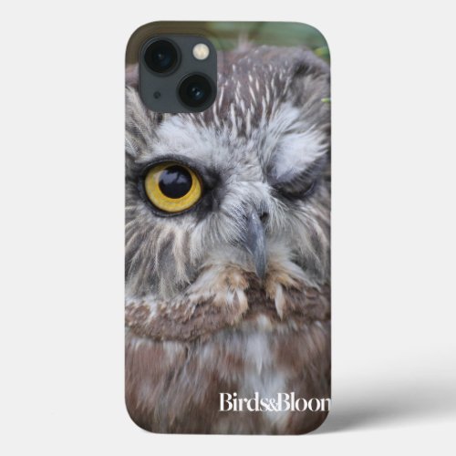 Saw_whet Owl iPhone 13 Case