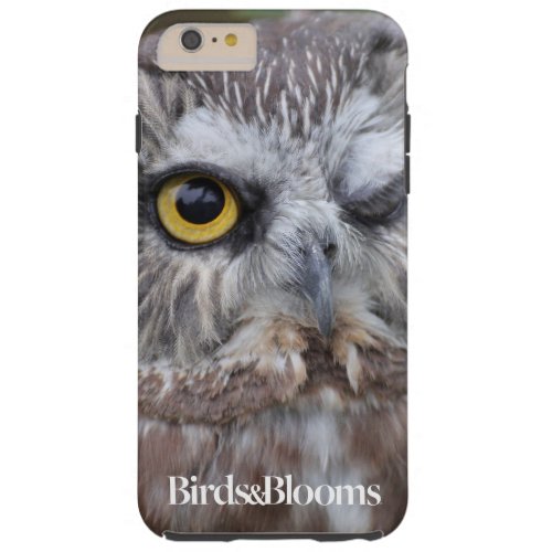 Saw_whet Owl Tough iPhone 6 Plus Case