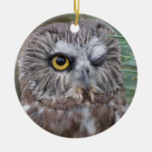 Saw-whet Owl Ceramic Ornament