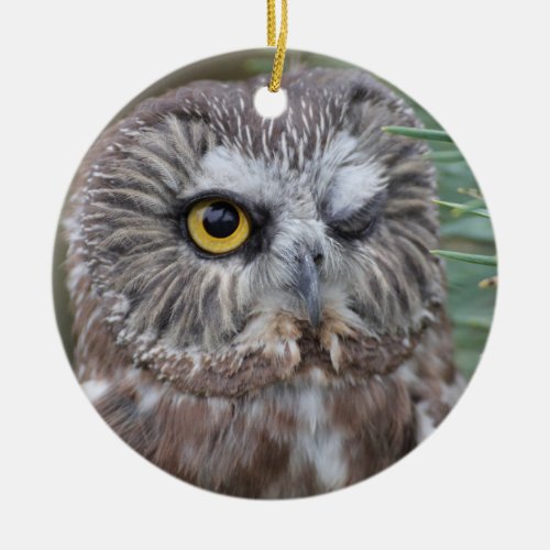 Saw_whet Owl Ceramic Ornament