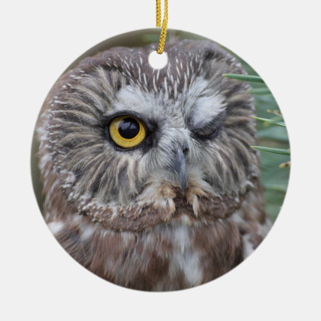 Saw-whet Owl Ceramic Ornament (Front)