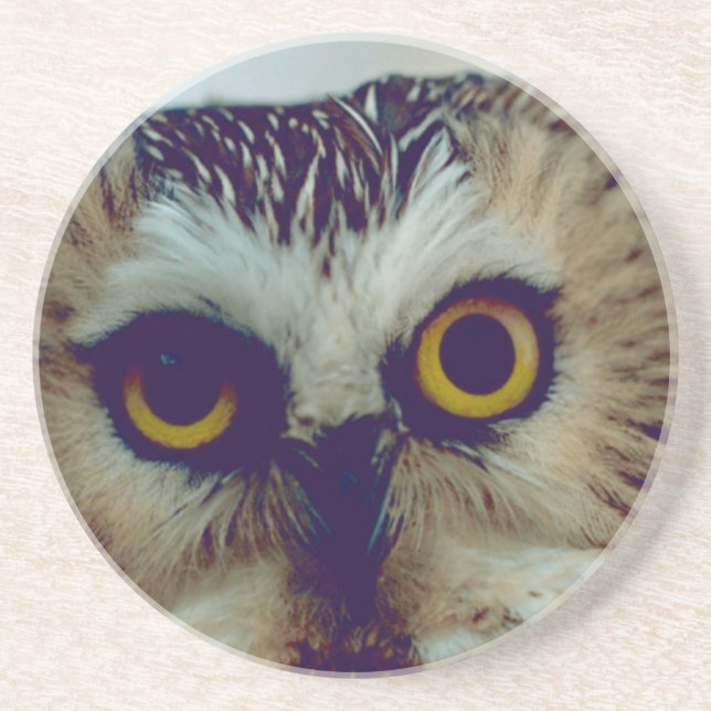 Saw-whet owl drink coaster (Front)