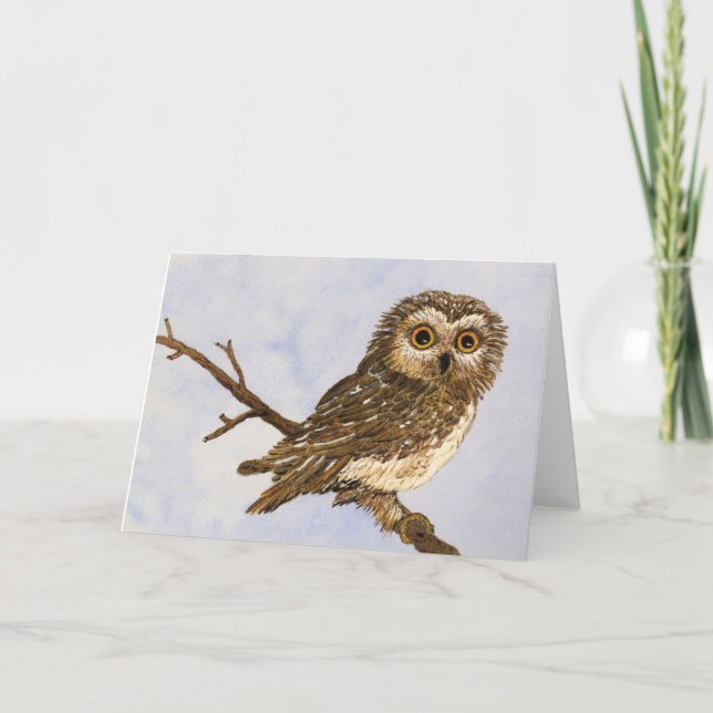 Saw-Whet Owl Greeting Card (Front)