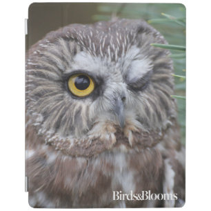 Saw-whet Owl iPad Smart Cover
