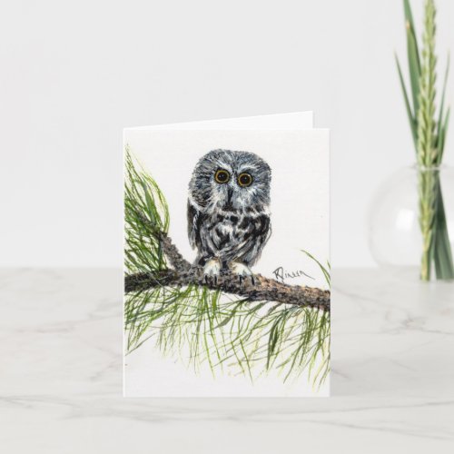 Saw Whet Owl Note Card