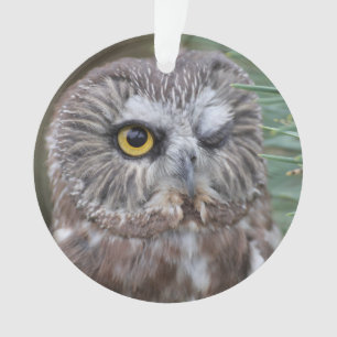 Saw-whet Owl Ornament