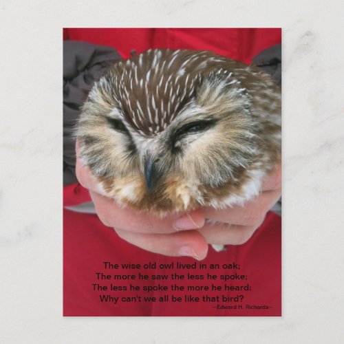 Saw_whet Owl Poem Postcard