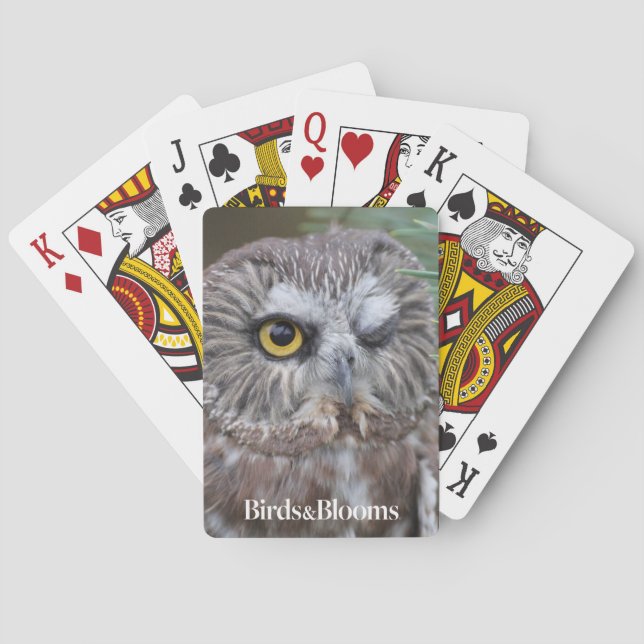 Saw-whet Owl Poker Cards (Back)